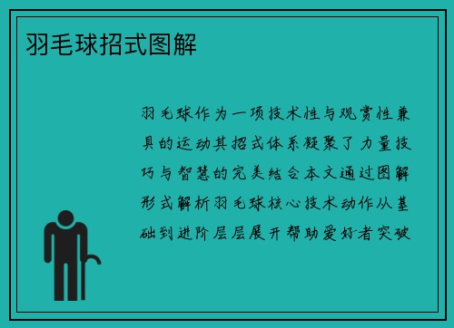 羽毛球招式图解